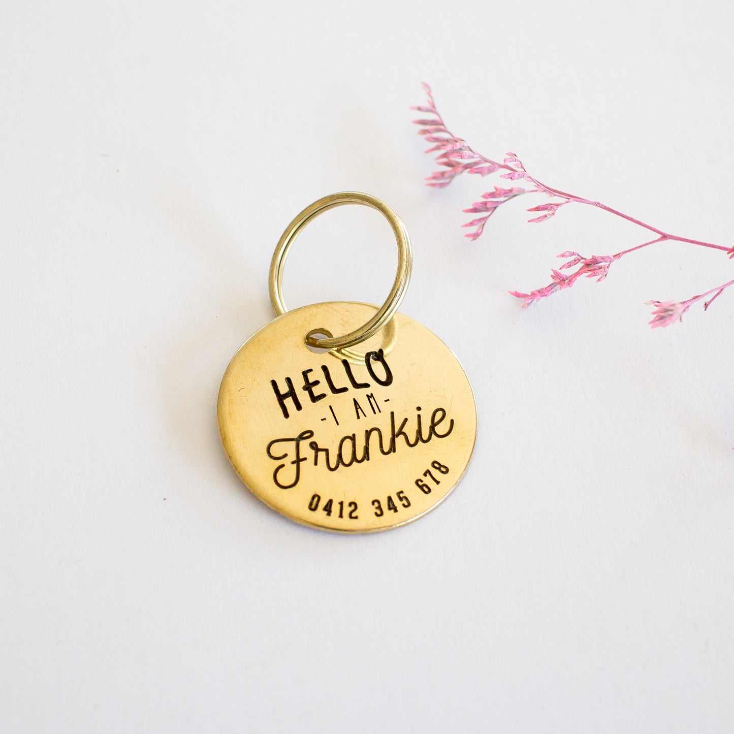 Personalised Brass 'Hello' Design Animal ID Tag